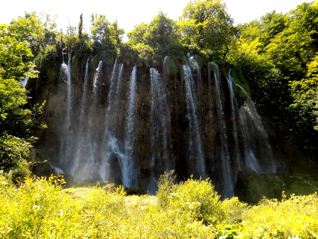 fetch?id=532124&d=1566122172