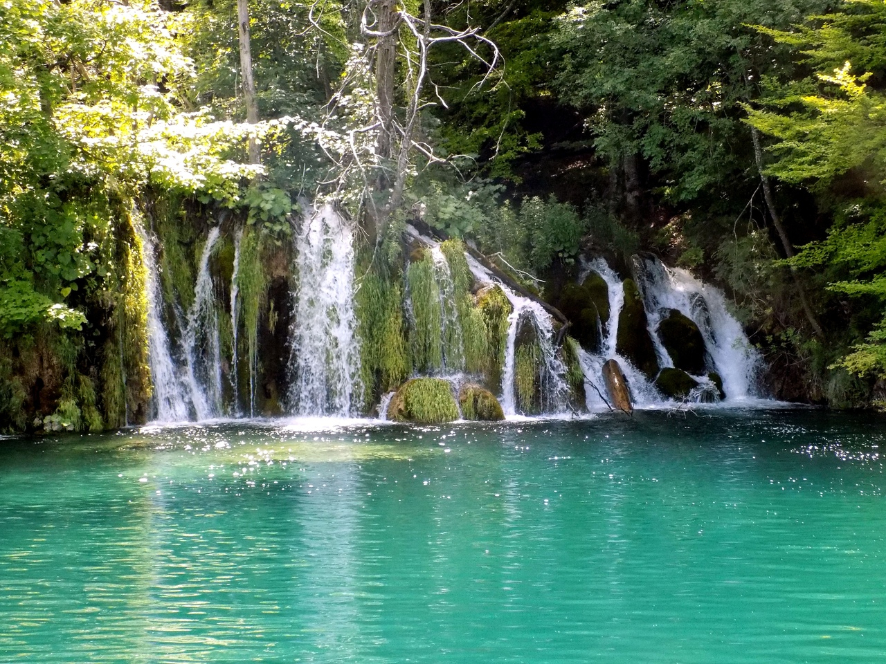 fetch?id=532130&d=1566122591