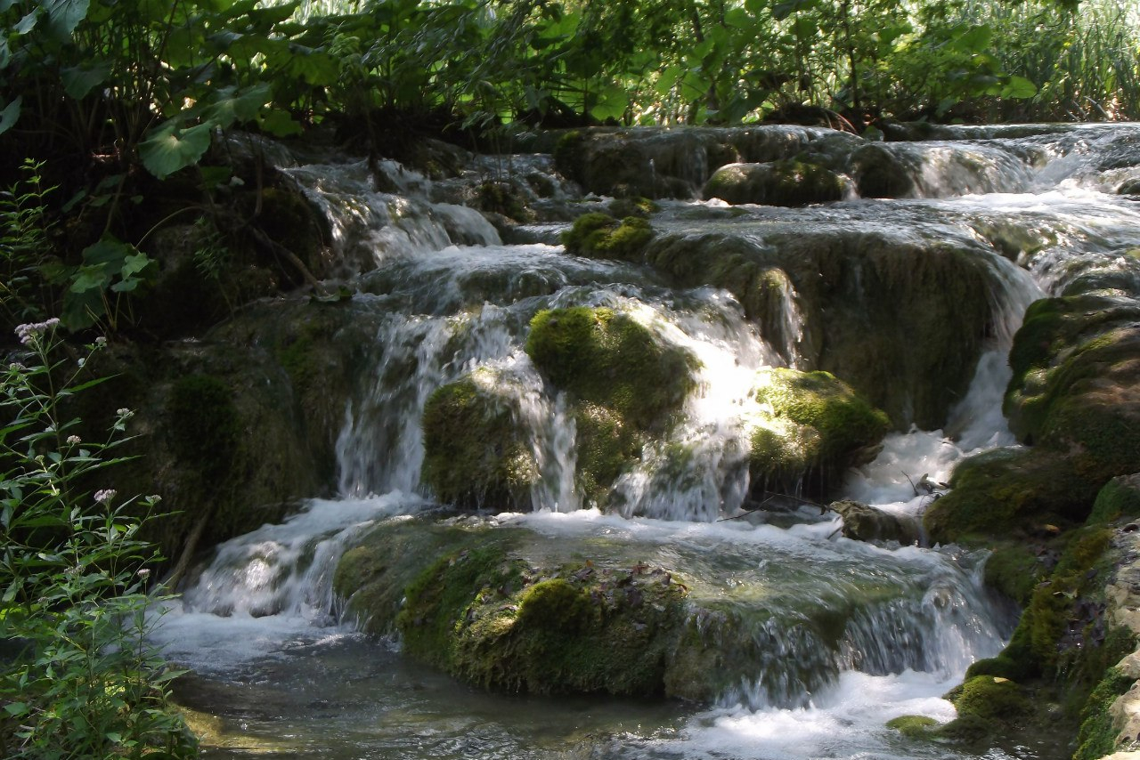 fetch?id=532174&d=1566125532