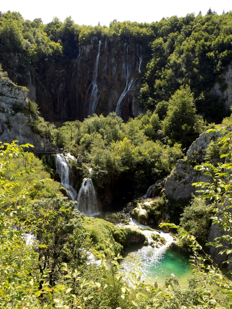 fetch?id=532182&d=1566126140