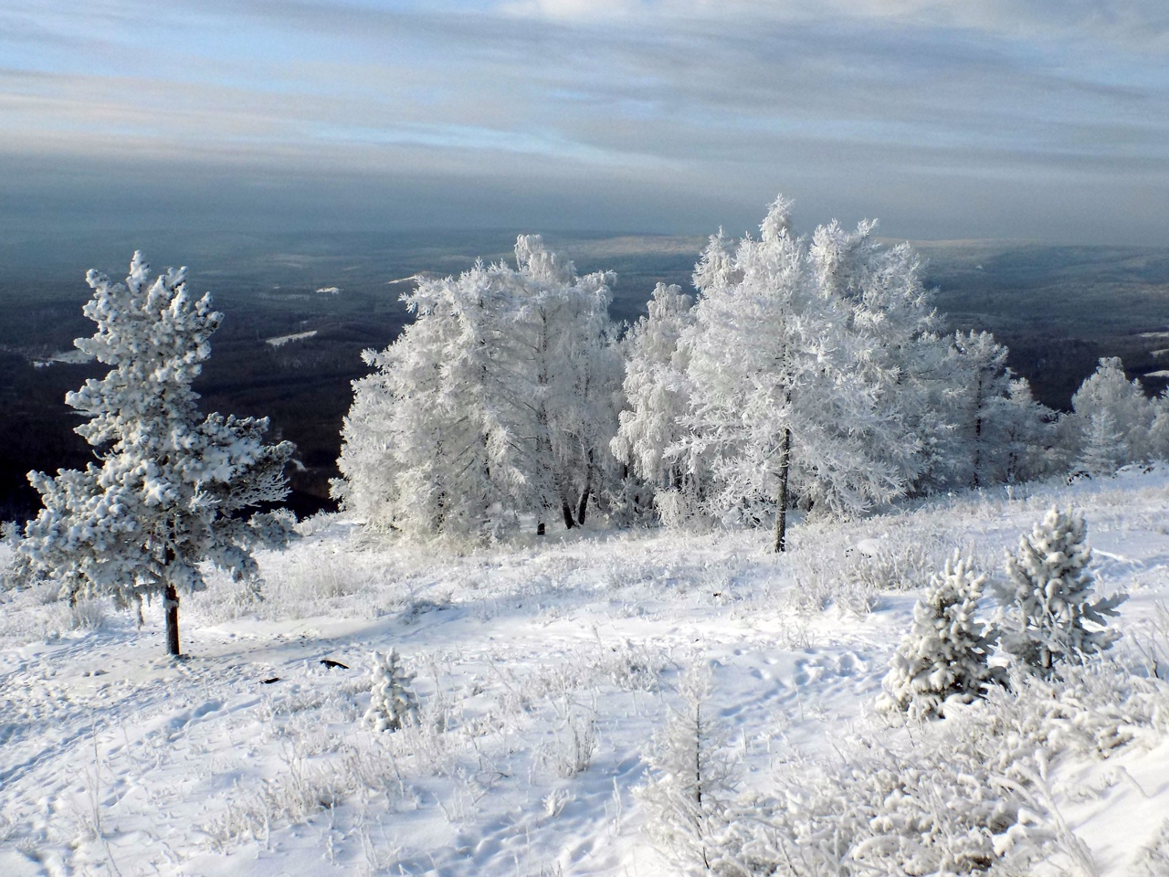 Нажмите на изображение для увеличения.   Название:	gC7yRihRml4.jpg?size=1280x960&amp;quality=96&amp;sign=cc685c66c698ce3f09779456c67e7b6e&amp;type=album.jpg  Просмотров:	0  Размер:	1.12 Мб  ID:	541992