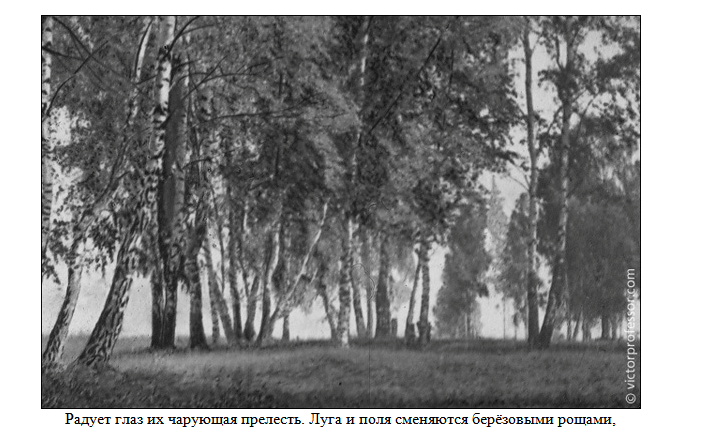 Нажмите на изображение для увеличения. 

Название:	image.png 
Просмотров:	90 
Размер:	327.6 Кб 
ID:	548580
