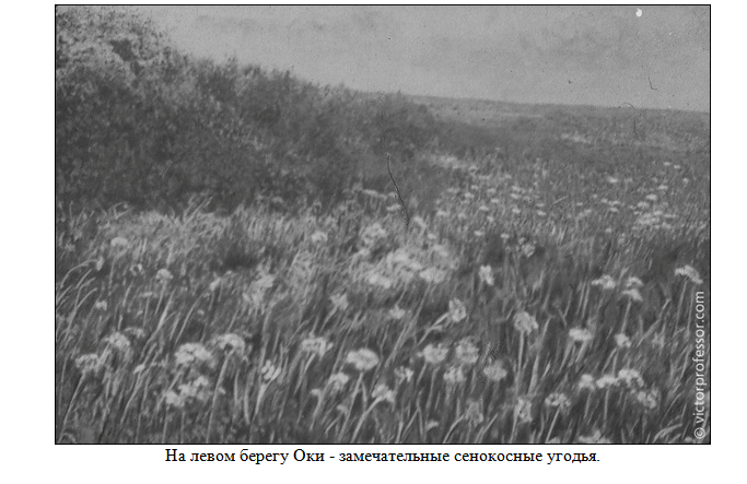 Нажмите на изображение для увеличения. 

Название:	image.png 
Просмотров:	80 
Размер:	189.8 Кб 
ID:	548598