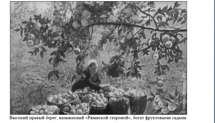 Нажмите на изображение для увеличения. 

Название:	image.png 
Просмотров:	78 
Размер:	315.8 Кб 
ID:	548602