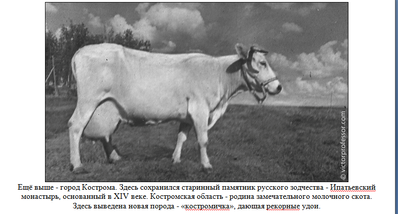 Нажмите на изображение для увеличения. 

Название:	image.png 
Просмотров:	90 
Размер:	251.7 Кб 
ID:	548641