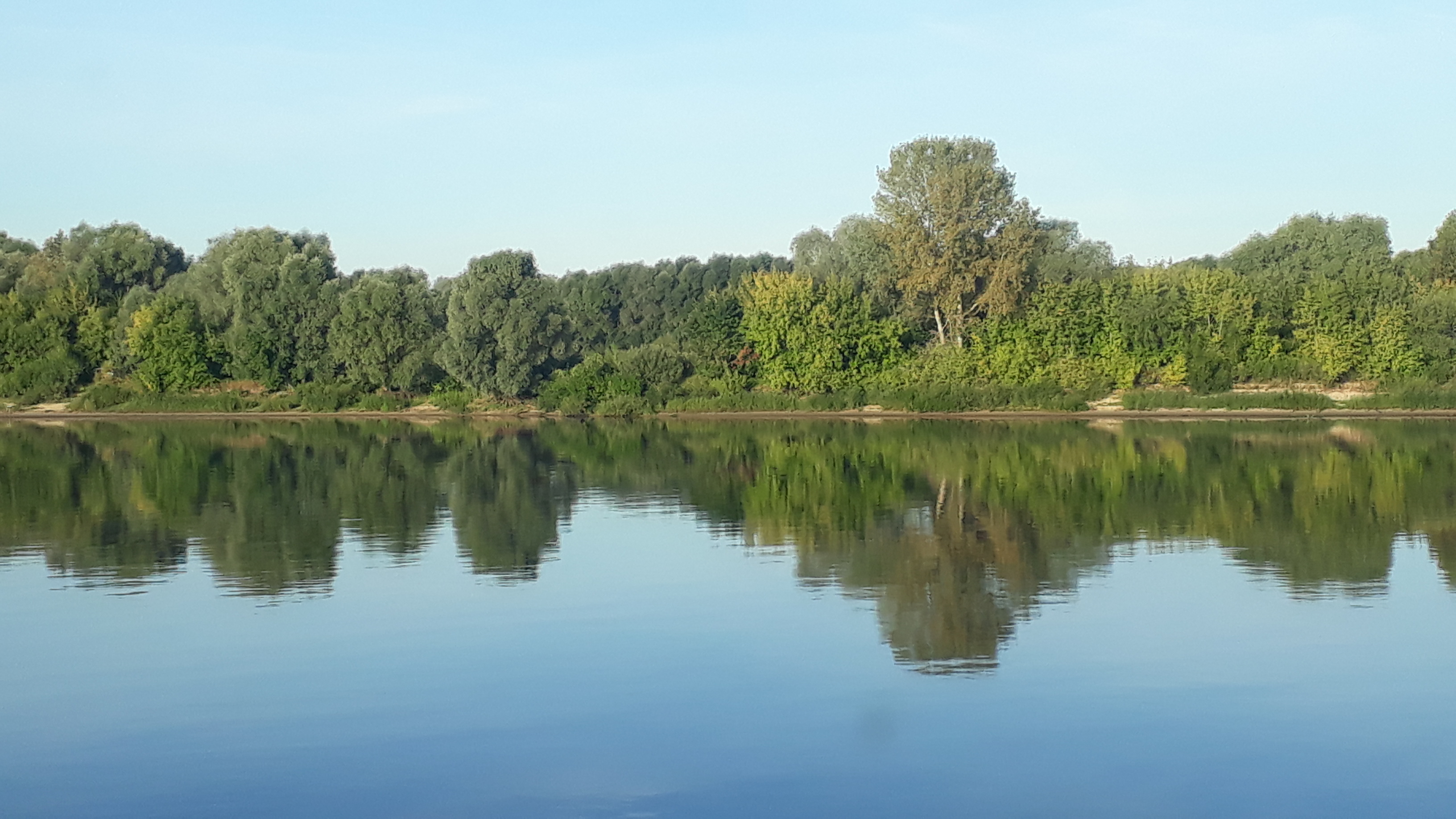 Нажмите на изображение для увеличения. 

Название:	20200904_064439.jpg 
Просмотров:	165 
Размер:	2.78 Мб 
ID:	540607