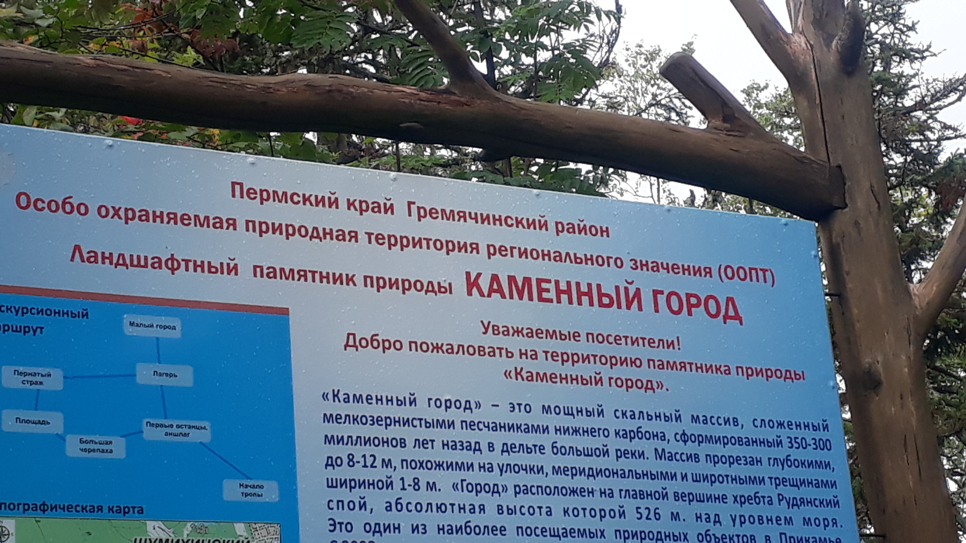 Нажмите на изображение для увеличения. 

Название:	20200831_153840.jpg 
Просмотров:	107 
Размер:	3.36 Мб 
ID:	540416