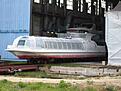 IMGP3984-1.jpg