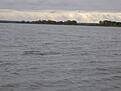 Нажмите на изображение для увеличения. 

Название:	IMG_4764.jpg 
Просмотров:	197 
Размер:	52.1 Кб 
ID:	482737