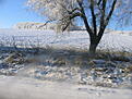 Нажмите на изображение для увеличения. 

Название:	IMG_3619_resize.jpg 
Просмотров:	172 
Размер:	141.8 Кб 
ID:	483266