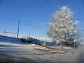 Нажмите на изображение для увеличения. 

Название:	IMG_3622_resize.jpg 
Просмотров:	160 
Размер:	77.1 Кб 
ID:	483268