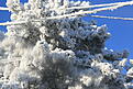 Нажмите на изображение для увеличения. 

Название:	IMG_8283_resize.jpg 
Просмотров:	197 
Размер:	128.4 Кб 
ID:	483270