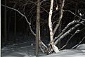 Нажмите на изображение для увеличения. 

Название:	IMG_8593_resize.jpg 
Просмотров:	161 
Размер:	126.5 Кб 
ID:	483301
