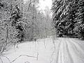 Нажмите на изображение для увеличения. 

Название:	2009-02-15--12-41-03.jpg 
Просмотров:	157 
Размер:	135.2 Кб 
ID:	483312