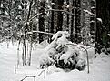 Нажмите на изображение для увеличения. 

Название:	2009-02-15--14-00-36.jpg 
Просмотров:	160 
Размер:	134.8 Кб 
ID:	483313
