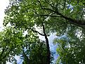 Нажмите на изображение для увеличения. 

Название:	IMG_6898.JPG 
Просмотров:	203 
Размер:	163.9 Кб 
ID:	484341