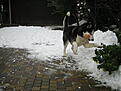 Нажмите на изображение для увеличения. 

Название:	Foto di Padova 01 01 2009 010.jpg 
Просмотров:	181 
Размер:	101.7 Кб 
ID:	484977
