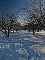 Нажмите на изображение для увеличения. 

Название:	0_3ed90_57202a56_S.jpeg 
Просмотров:	265 
Размер:	7.8 Кб 
ID:	485670