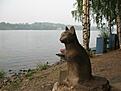 Нажмите на изображение для увеличения. 

Название:	IMG_4753.jpg 
Просмотров:	386 
Размер:	94.5 Кб 
ID:	488477