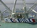 Нажмите на изображение для увеличения. 

Название:	ns_savannah_bell.JPG 
Просмотров:	418 
Размер:	150.4 Кб 
ID:	488852
