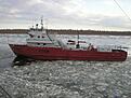 Нажмите на изображение для увеличения. 

Название:	P3070066-31.jpg 
Просмотров:	226 
Размер:	113.2 Кб 
ID:	492960