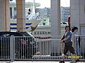Нажмите на изображение для увеличения. 

Название:	SDC10177.jpg 
Просмотров:	313 
Размер:	96.4 Кб 
ID:	493313