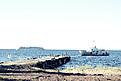 Нажмите на изображение для увеличения. 

Название:	IMG_1177.jpg 
Просмотров:	311 
Размер:	89.5 Кб 
ID:	496611