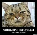 Нажмите на изображение для увеличения. 

Название:	&#1089;&#1084;&#1077;&#1096;&#1085;&#1099;&#1077;-&#1076;&#1077;&#1084;&#1086;&#1090;&#1080;&amp;amp;#1.jpeg 
Просмотров:	211 
Размер:	73.9 Кб 
ID:	497041