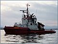 Нажмите на изображение для увеличения. 

Название:	Tug for sale.jpg 
Просмотров:	363 
Размер:	55.4 Кб 
ID:	501425