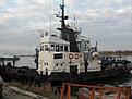 Нажмите на изображение для увеличения. 

Название:	165- &#1084;&#1086;&#1088;&#1089;&#1082;&#1086;&#1081; &#1073;&#1091;&#1082;&#1089;&#1080;&amp;amp;#1088.JPG 
Просмотров:	174 
Размер:	140.6 Кб 
ID:	502078