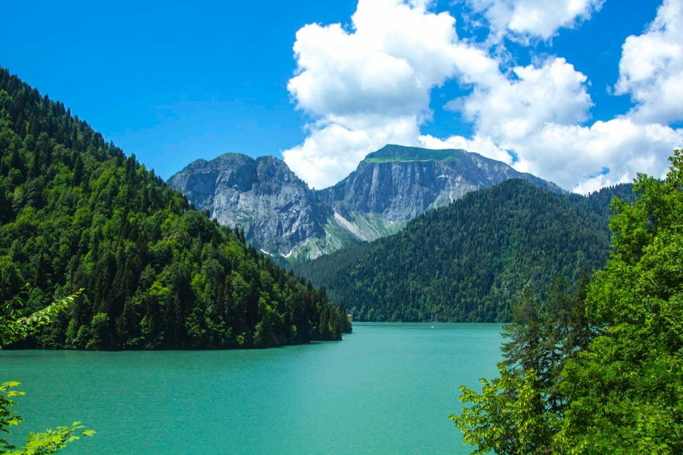 Курорты абхазии 2024 год. Озеро Рица Абхазия. Озеро большая Рица Абхазия. Озеро Рица Абхазия лето. Природа Абхазии Рица.